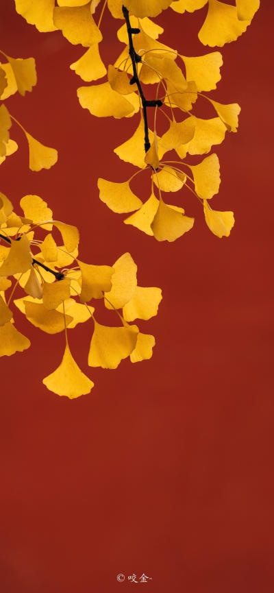 风景壁纸