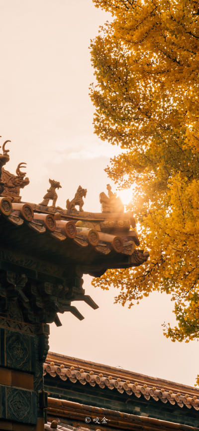 风景壁纸