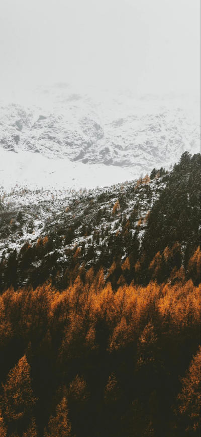 风景壁纸
