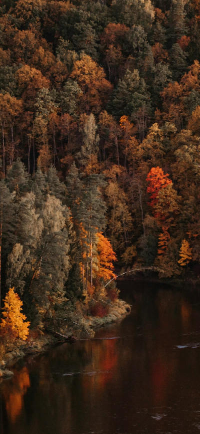 风景壁纸