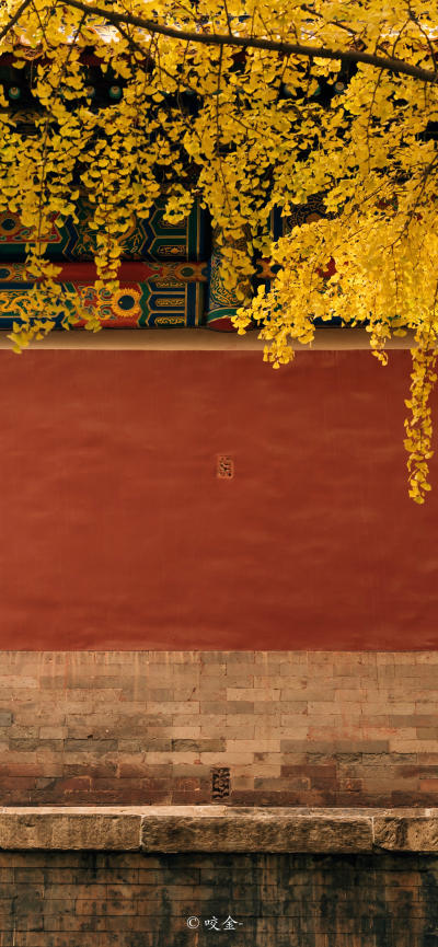 风景壁纸