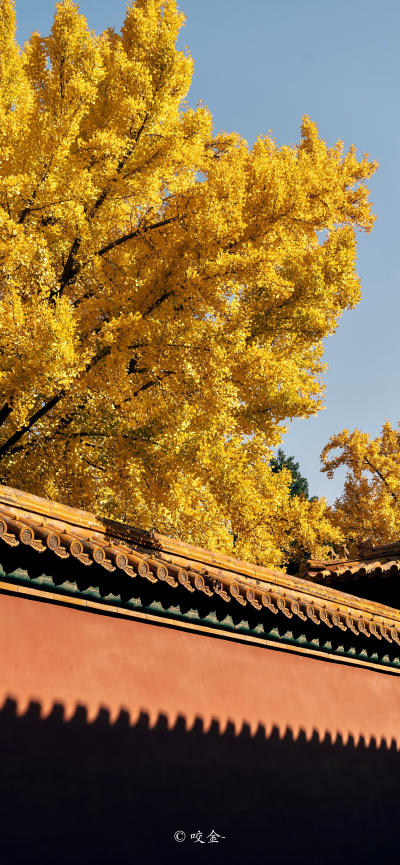 风景壁纸