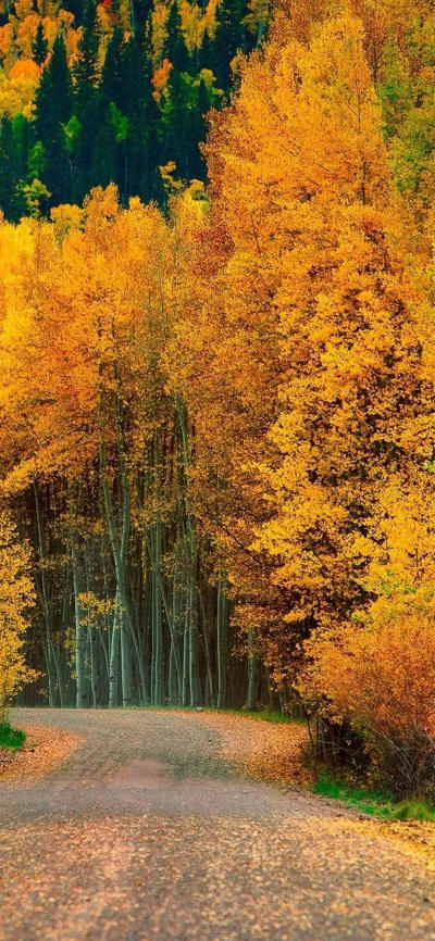 风景壁纸