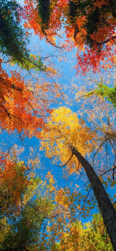 风景壁纸