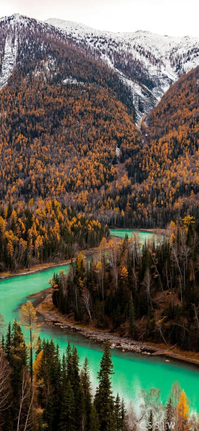 风景壁纸