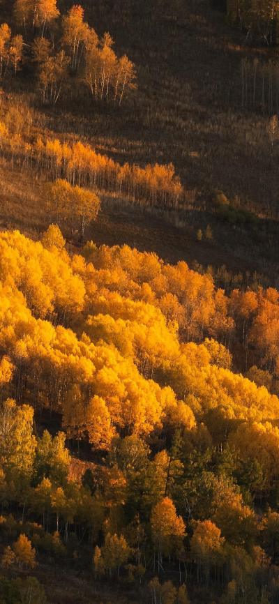 风景壁纸