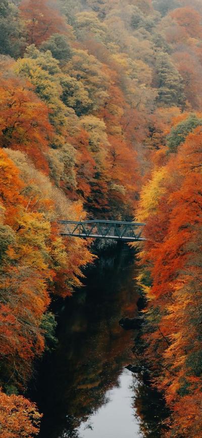 风景壁纸