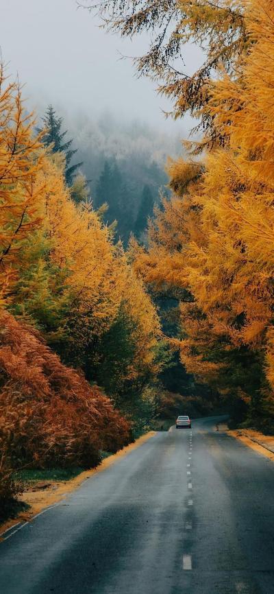 风景壁纸