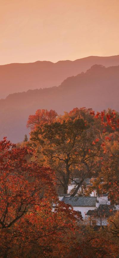 风景壁纸