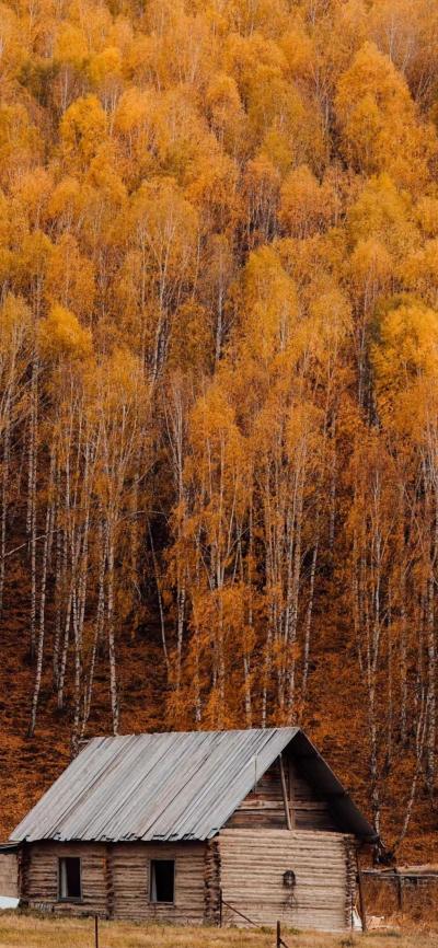 风景壁纸