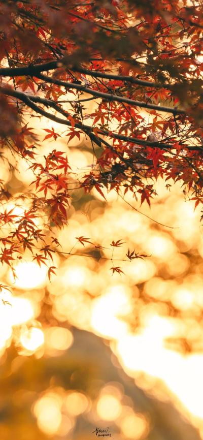 风景壁纸