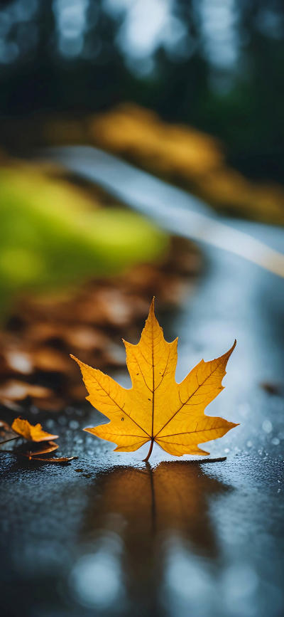 风景壁纸