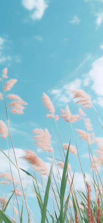 风景壁纸