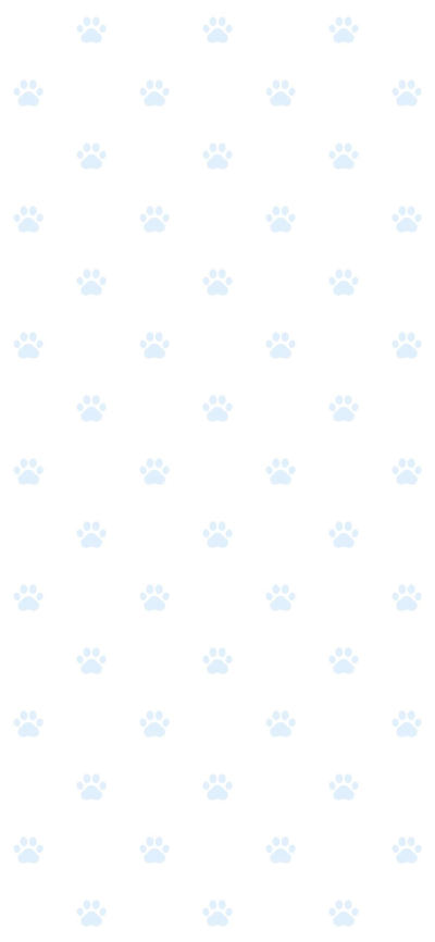 二次元壁纸