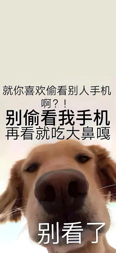 二次元壁纸