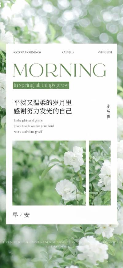 二次元壁纸