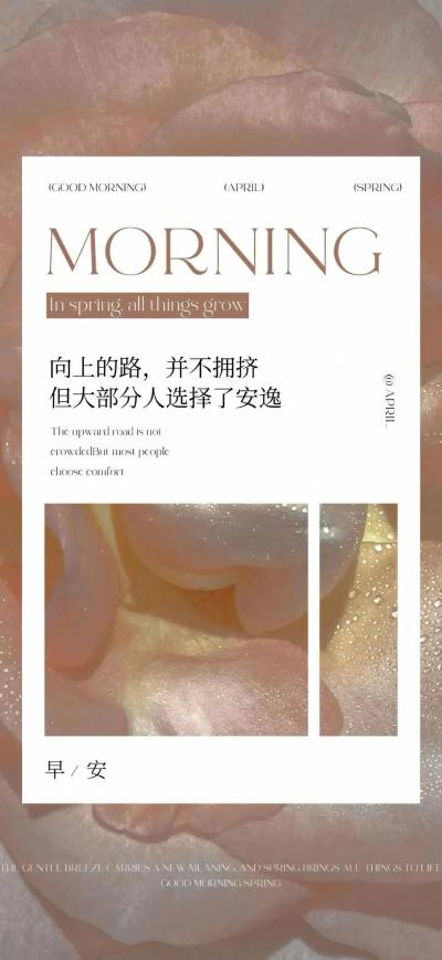 二次元壁纸