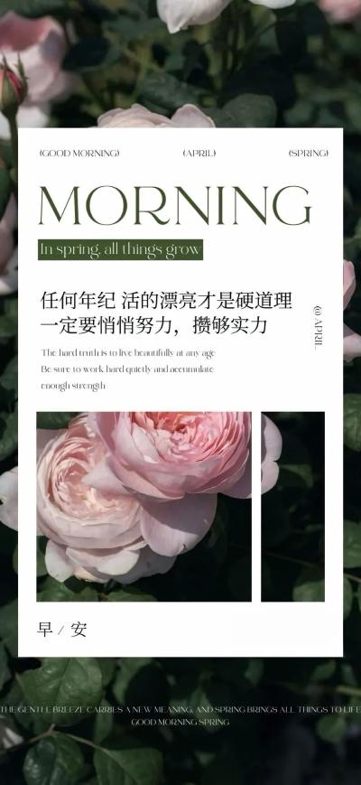 二次元壁纸