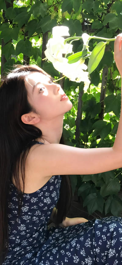 二次元壁纸