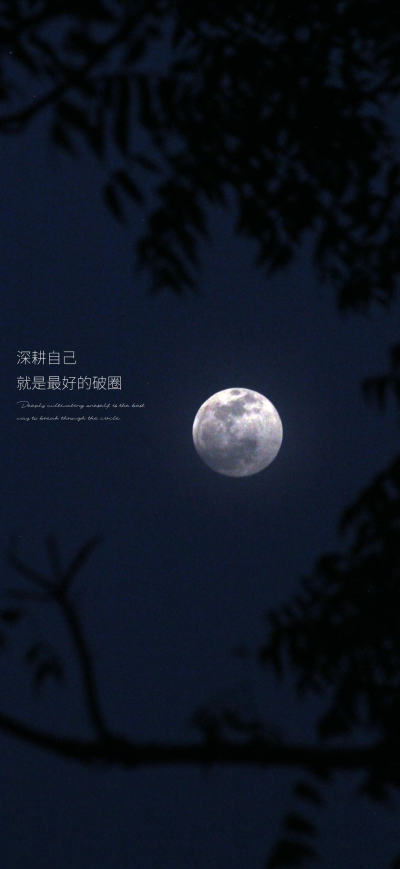 二次元壁纸