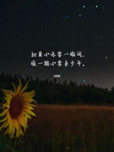 文案背景壁纸 ௸第83期 文案背景图/高级壁纸/情感语录