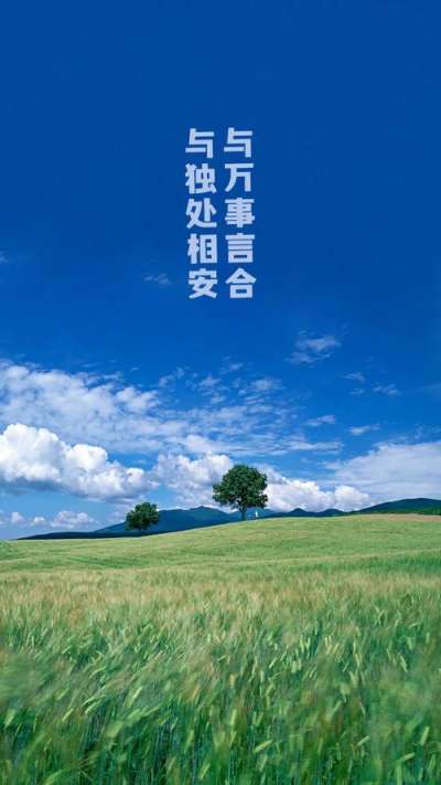 文案背景壁纸 炎炎夏日的清凉文案(内附凉感壁纸)