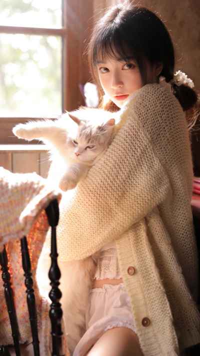 人像壁纸 大猫咪