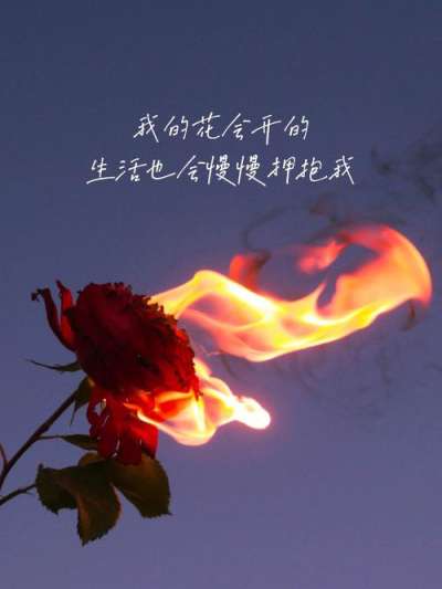 文案背景壁纸 ௸第241期情感文案壁纸高级背景图