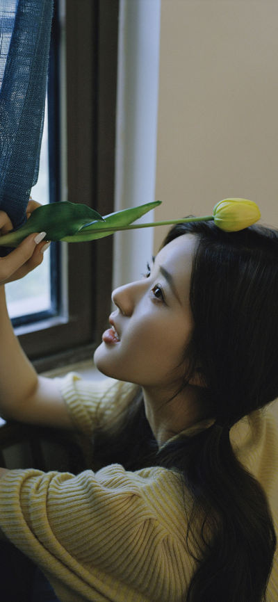人像壁纸 [2436×1125]赵露思 演员 明星 艺人 郁金香 苹果手机美女壁纸图片