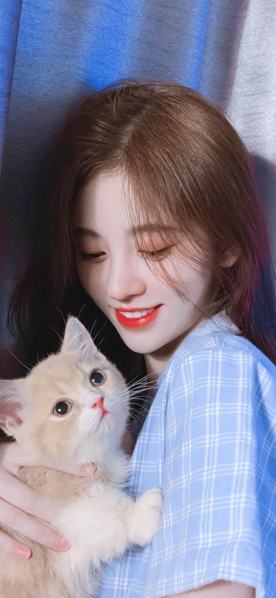 人像壁纸 女神鞠婧祎与可爱的小猫咪高清手机壁纸