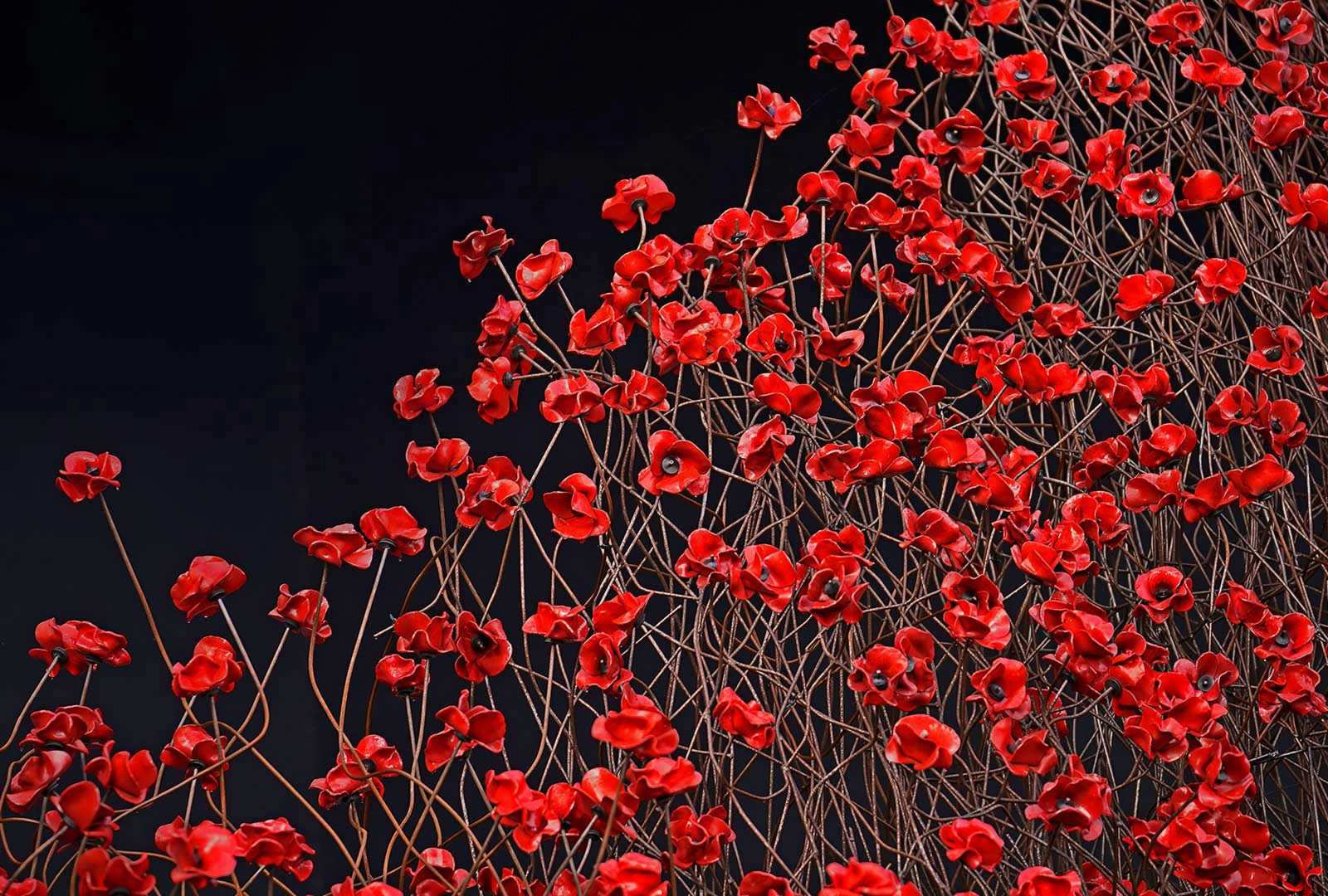 必应壁纸 2018年11月11日 帝国战争博物馆北馆内的装置艺术‘Blood Swept Lands and Seas of Red’，英国曼彻斯特