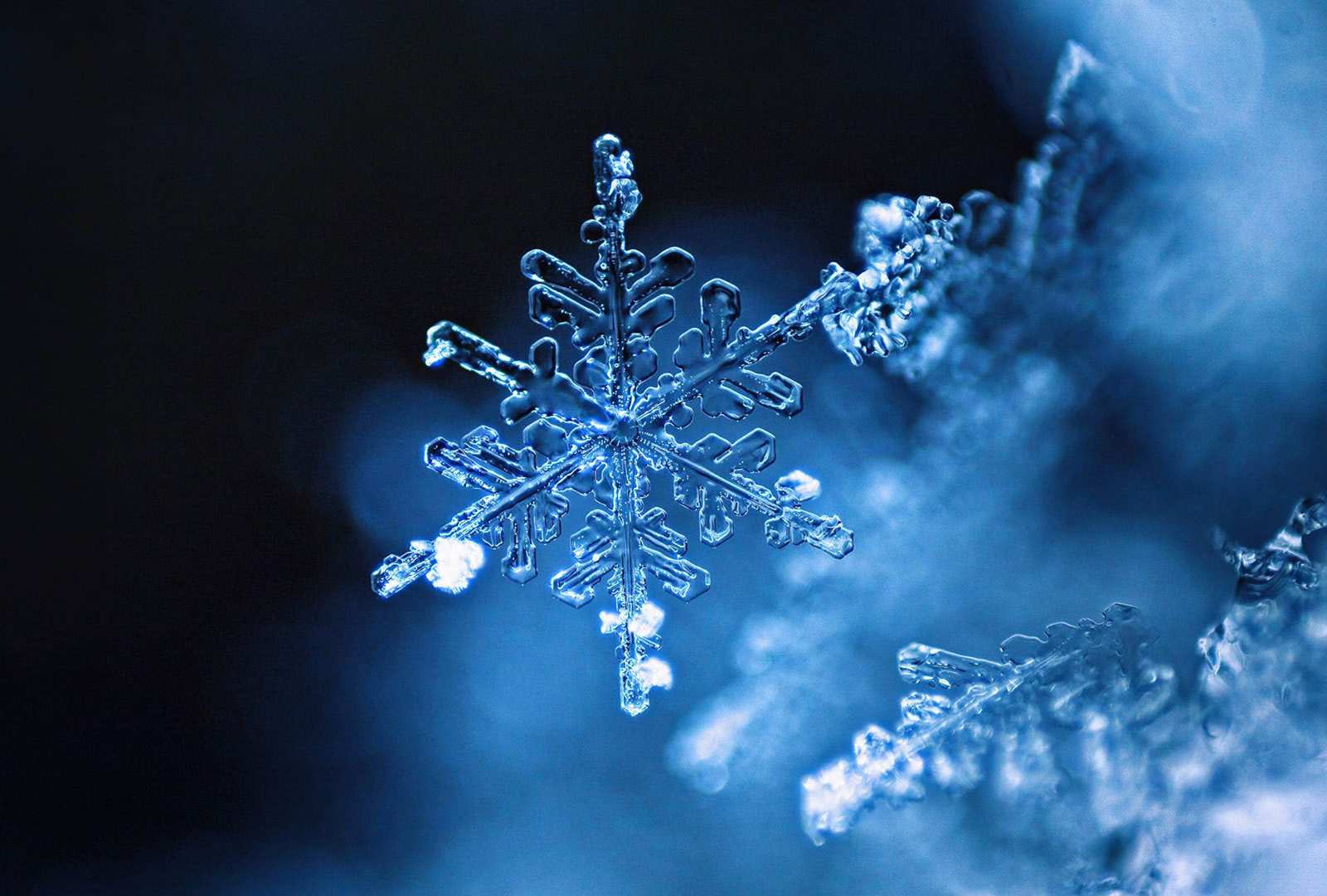 必应壁纸 2019年12月21日 雪花