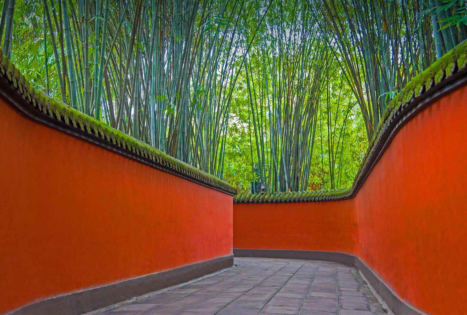 必应壁纸 2021年5月29日 武侯祠内红墙和竹林掩映下的小巷，中国成都