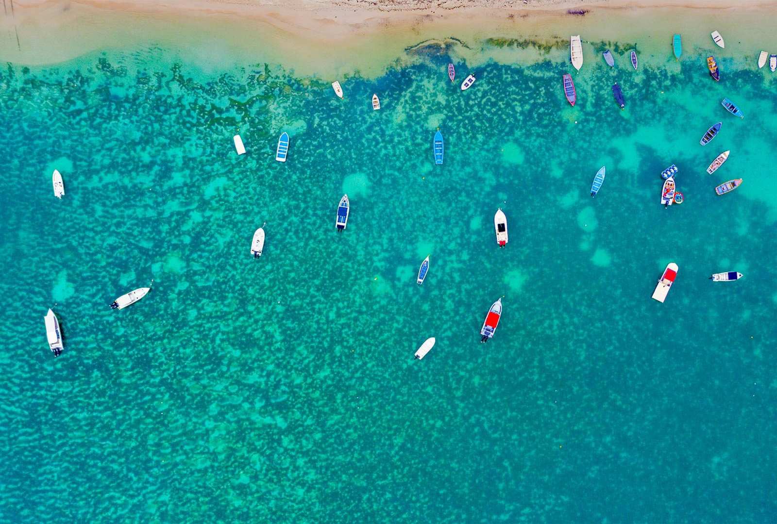 必应壁纸 2021年7月16日 Mont Choisy Beach, Mauritius