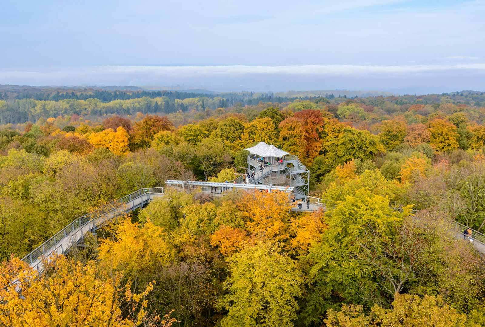 必应壁纸 2021年9月11日 Treetop walkway in Hainich National Park, Thuringia, Germany