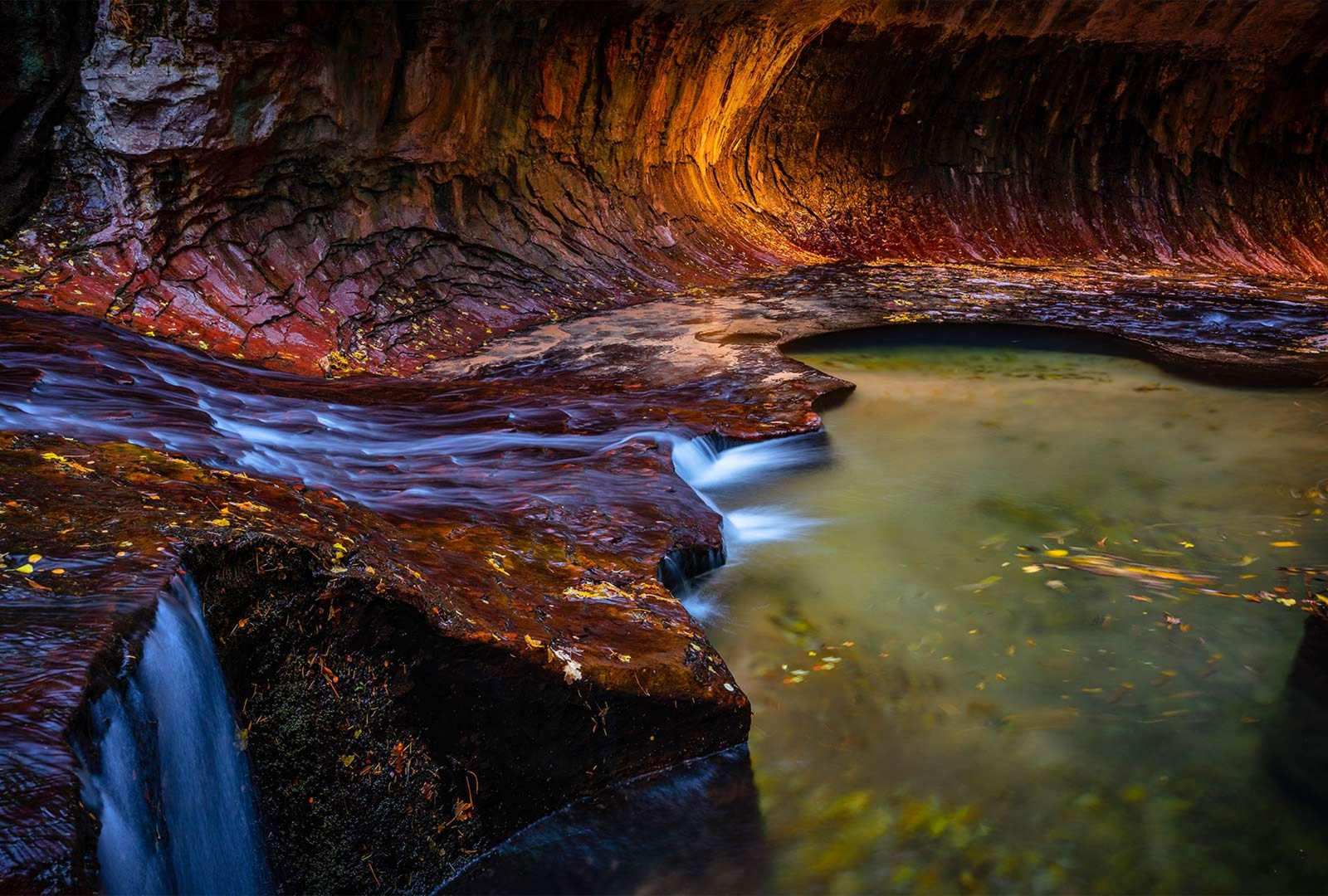 必应壁纸 2021年11月19日 The Subway slot canyon in Zion National Park, Utah