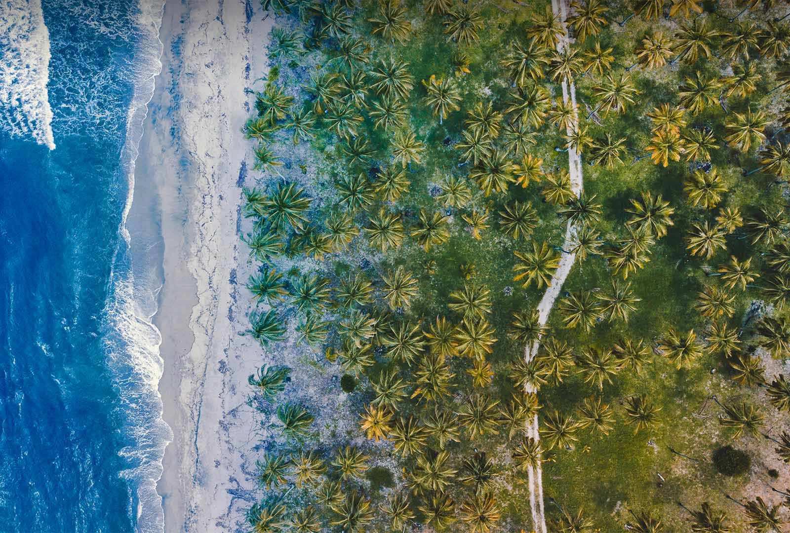 必应壁纸 2022年3月29日 哥伦比亚的加勒比海岸线