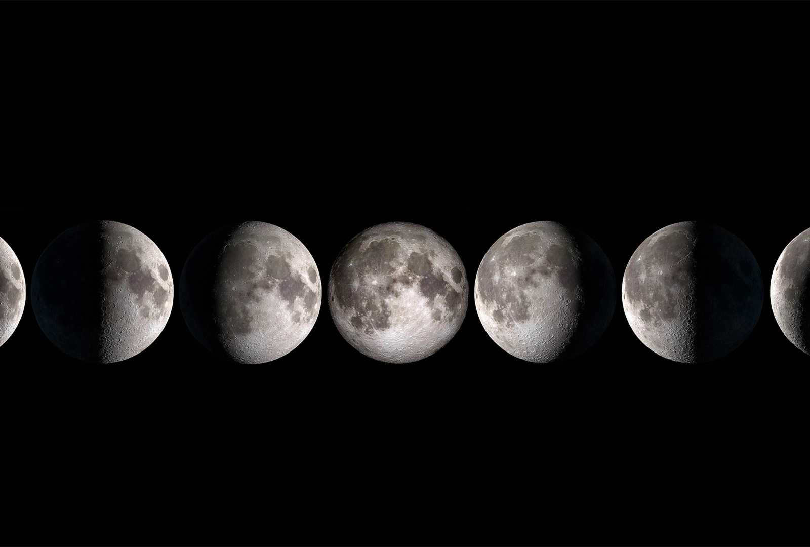必应壁纸 2022年7月20日 人类迈出的一大步
