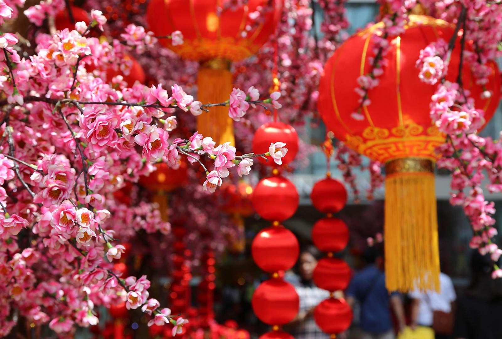 必应壁纸 2023年1月22日 春节快乐，兔年大吉！