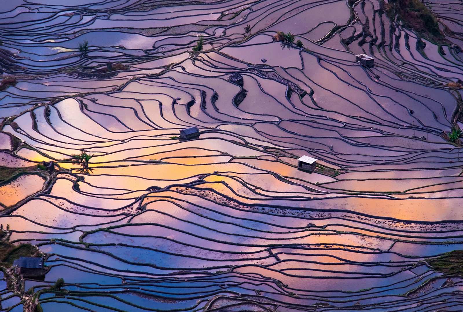 必应壁纸 2023年3月7日 彩虹般的风景