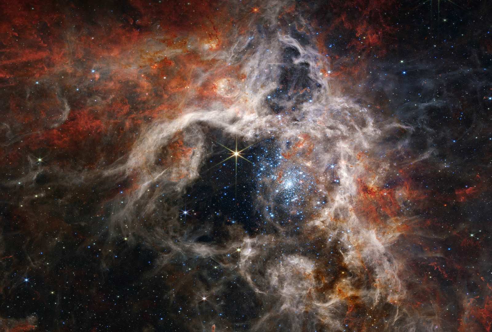 必应壁纸 2023年10月4日 狼蛛星云