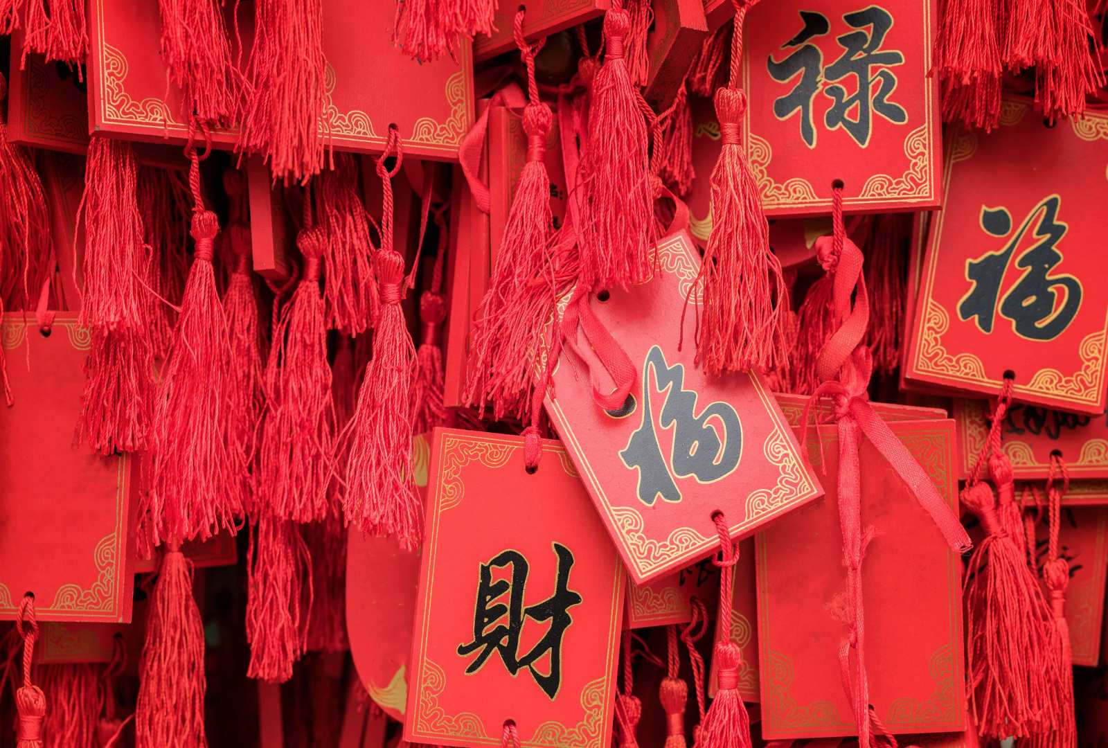 必应壁纸 2025年1月29日 春节快乐！