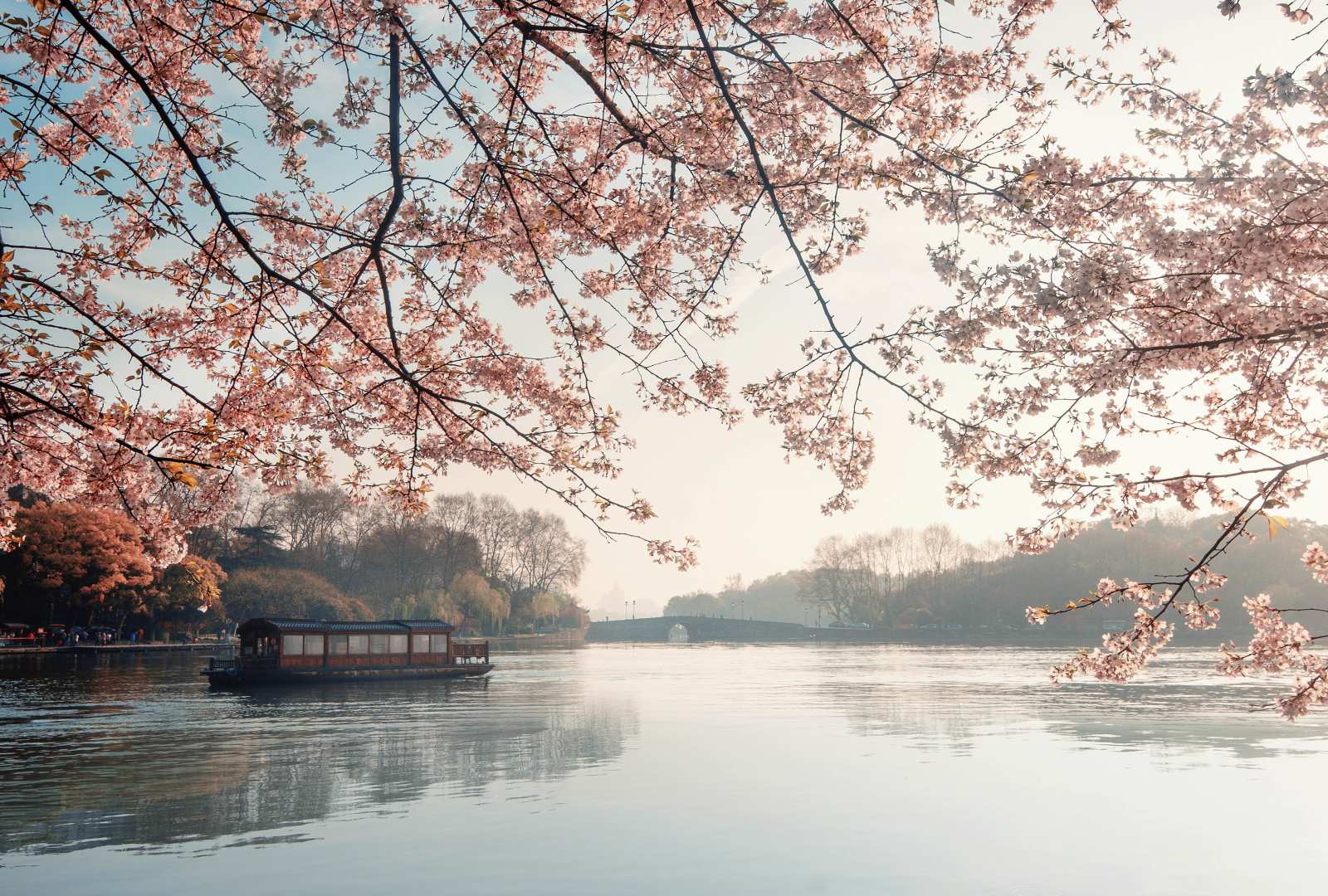 必应壁纸 2025年3月20日 春日仙境