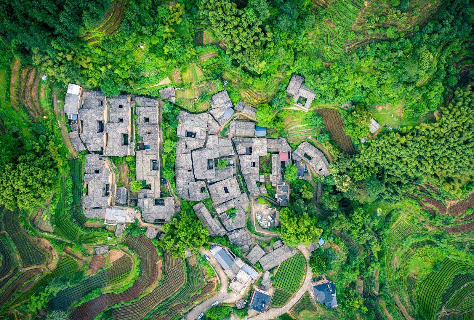 必应壁纸 2025年5月21日 茶歇时光