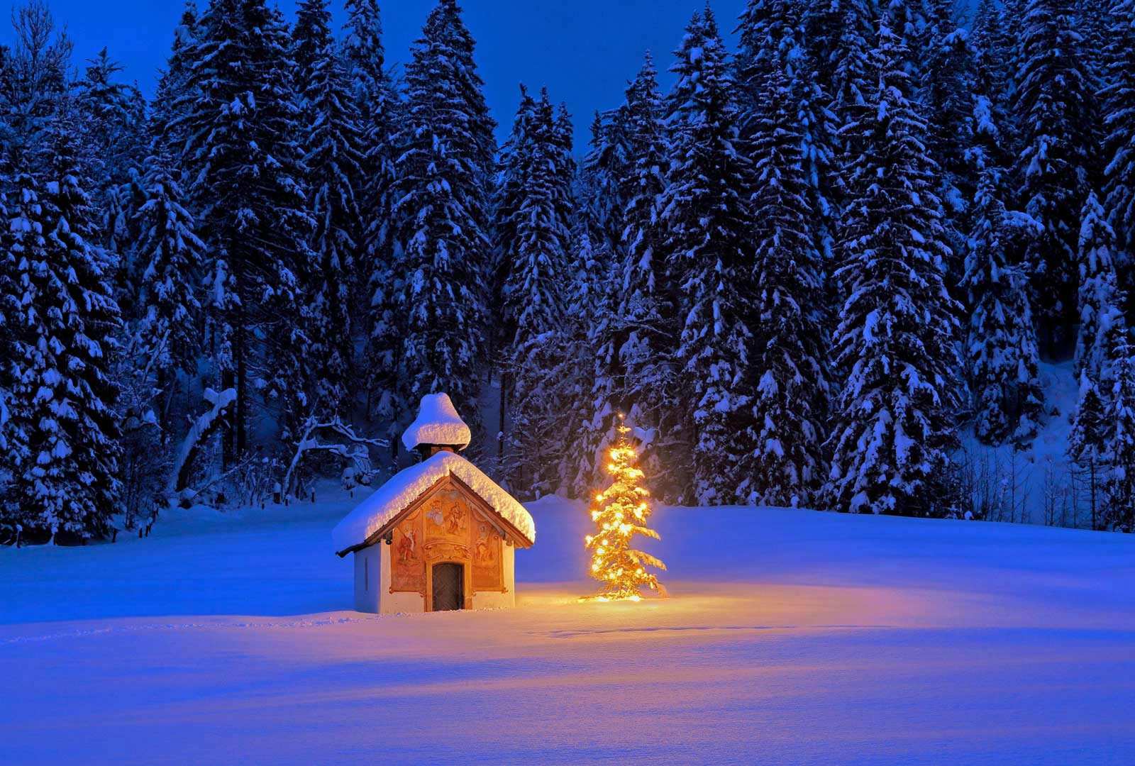 必应壁纸 2025年12月24日 巴伐利亚阿尔卑斯山脉的雪中教堂与圣诞树