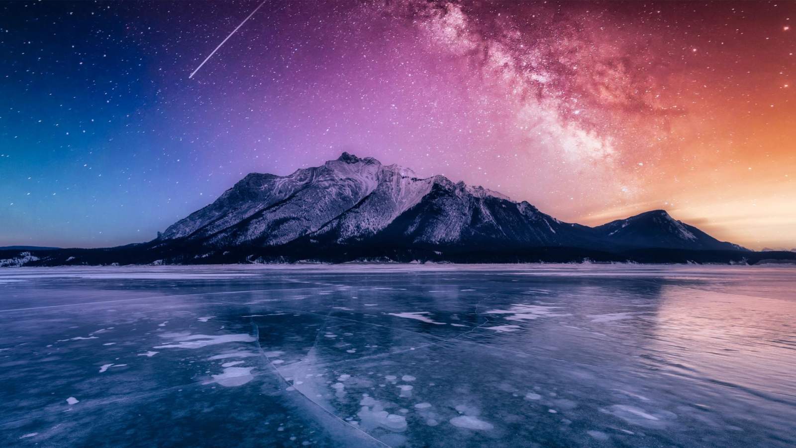 必应壁纸 2026年1月19日 大自然的波普艺术