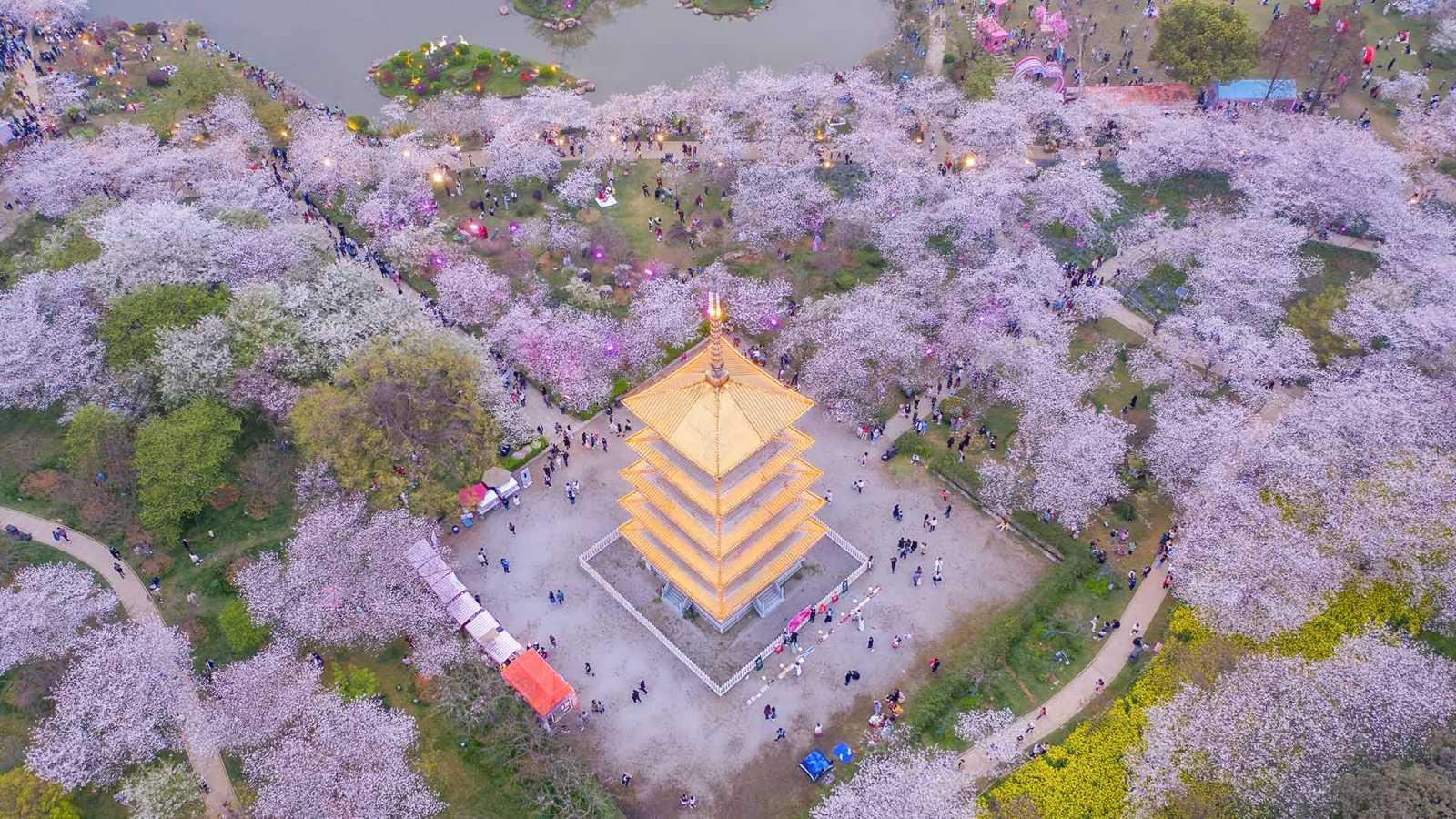 必应壁纸 2026年3月24日 春天的形状