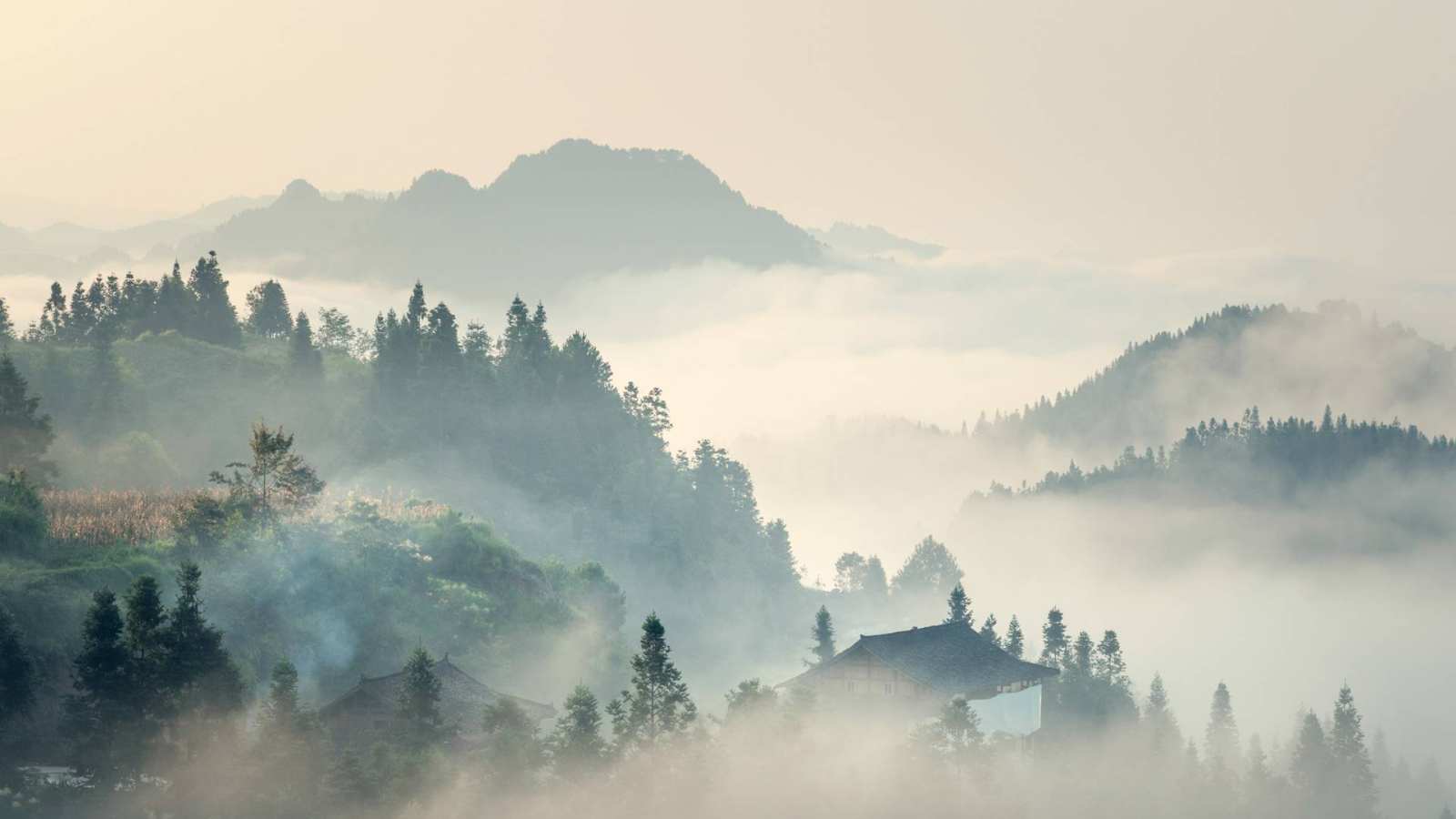 必应壁纸 2021年4月4日 【今日清明】（ © yangphoto ）