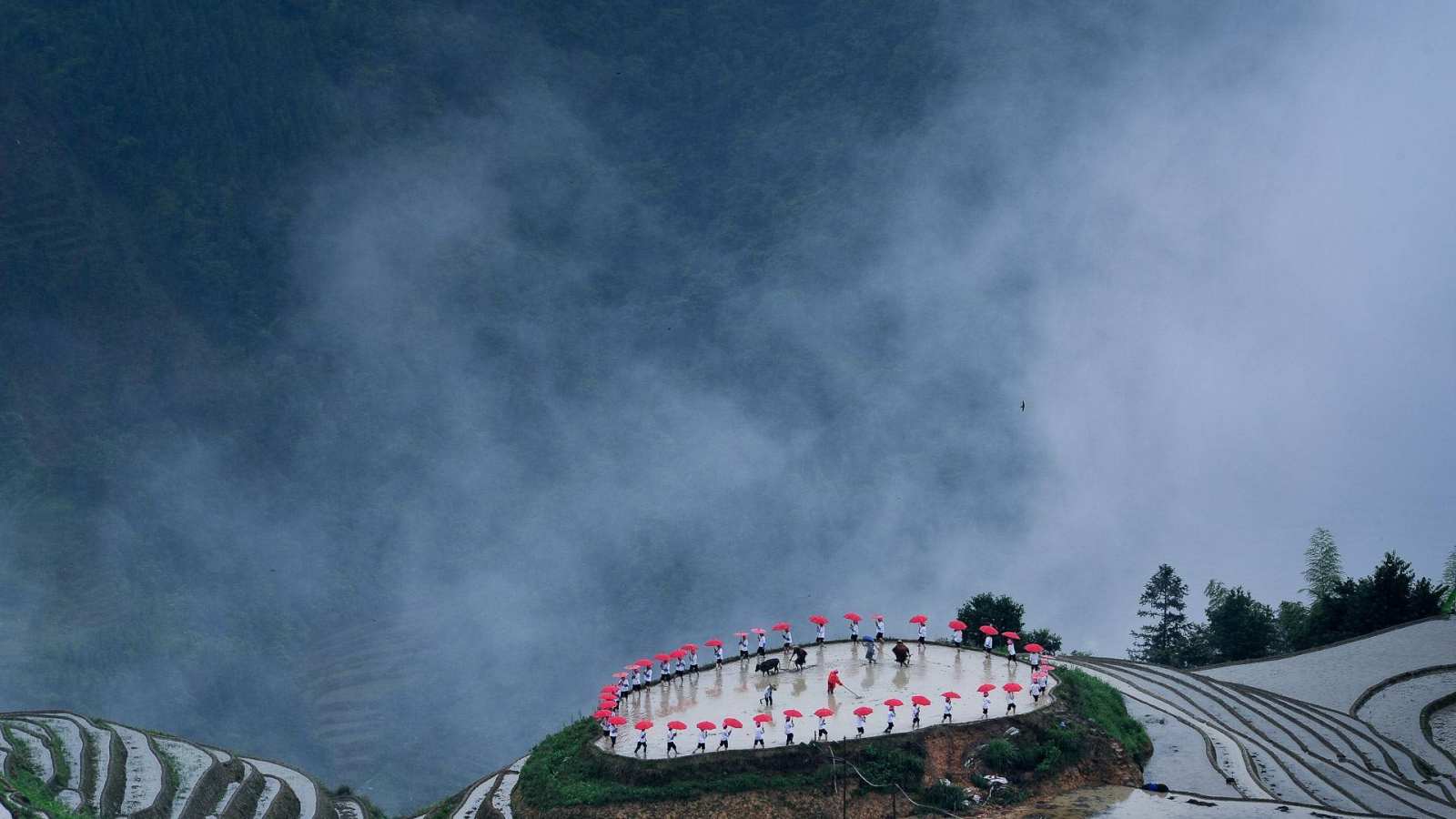 必应壁纸 2018年4月20日 【今日谷雨】平安村种植节期间龙胜梯田的忙碌景象