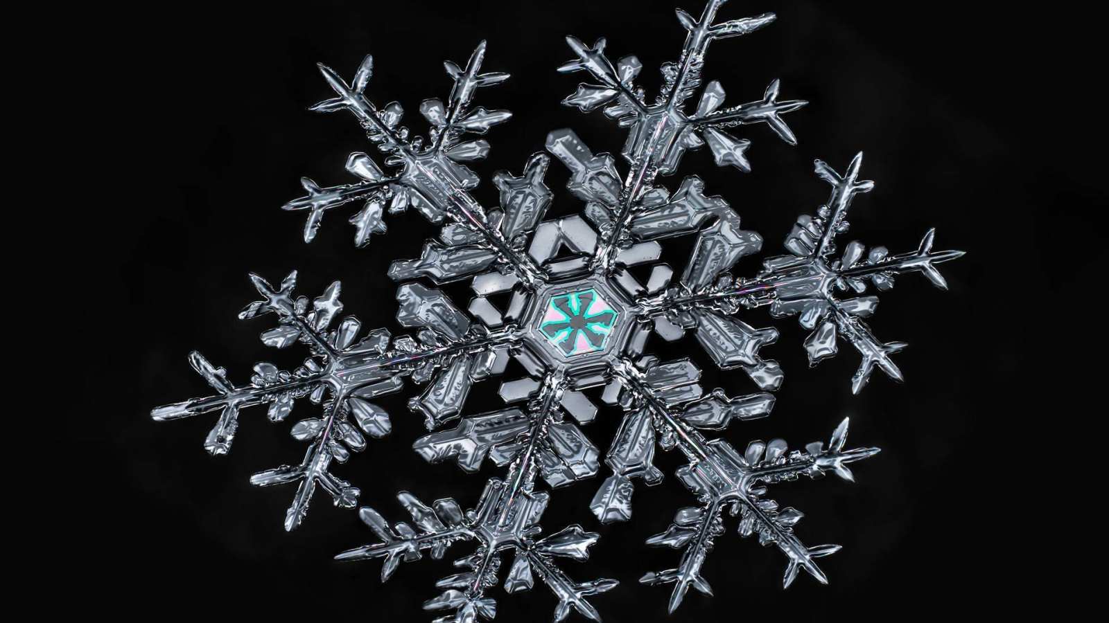 必应壁纸 2017年12月18日 一片雪花